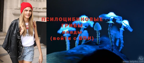 дурь Нефтегорск