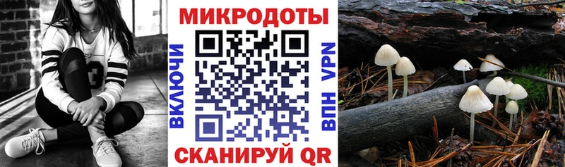 купить наркотик  Перевоз  Псилоцибиновые грибы Magic Shrooms 